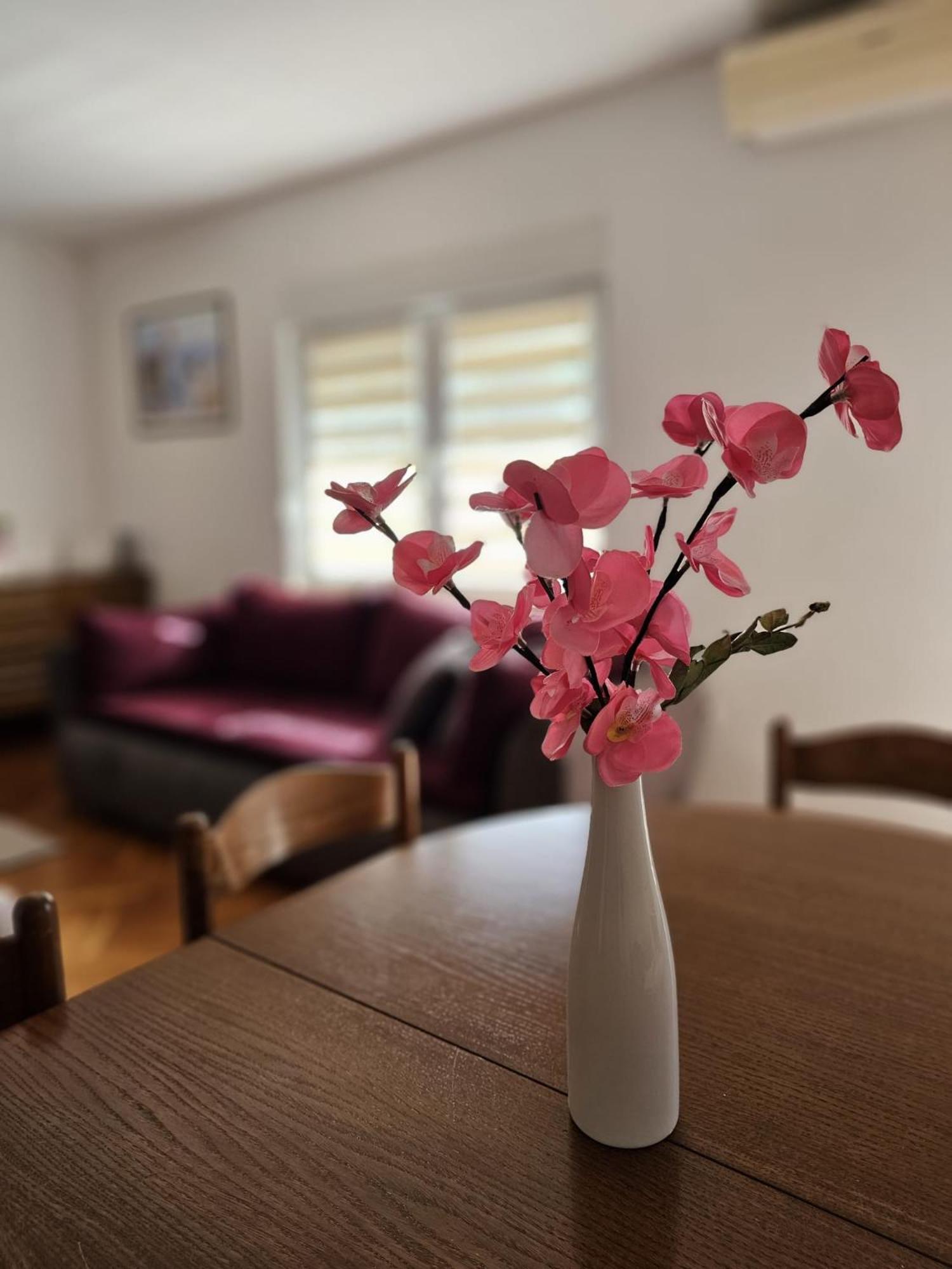 Apartment Vesna Podaca Εξωτερικό φωτογραφία