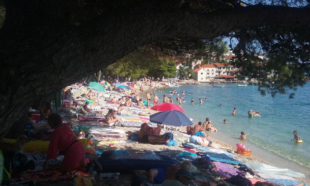 Apartment Vesna Podaca Εξωτερικό φωτογραφία